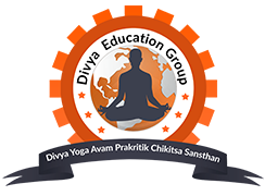 Divya Education Group